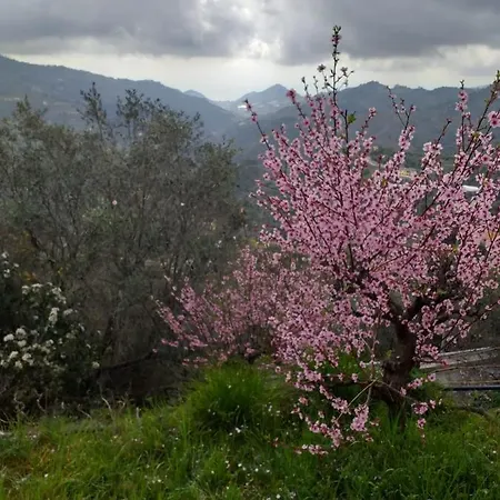 Il Piccolo Giardino
