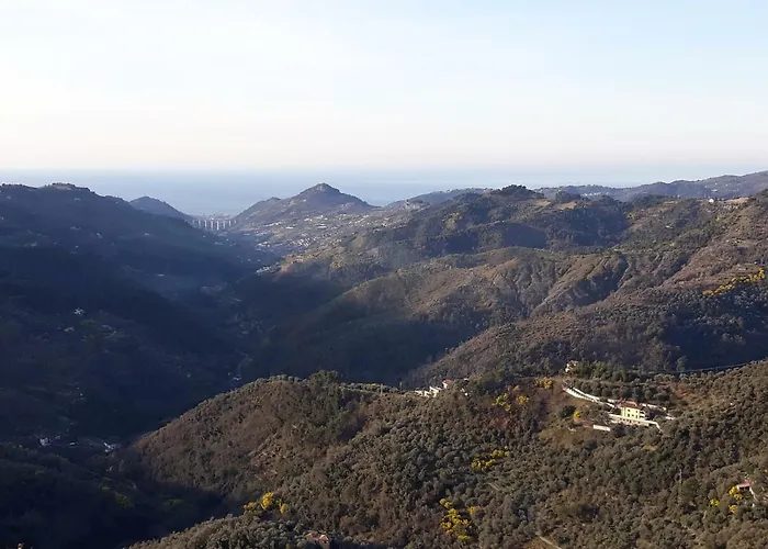 Il Piccolo Giardino *